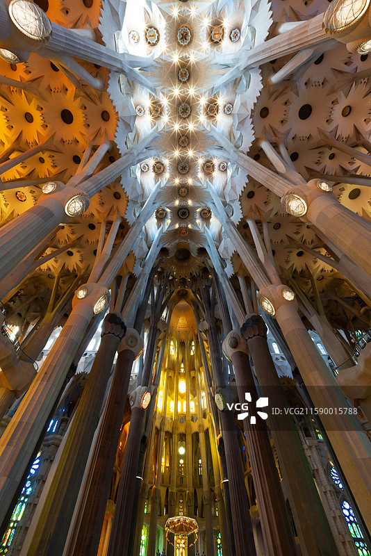 西班牙巴塞罗那大教堂阿拉夫天花板有许多柱图片素材