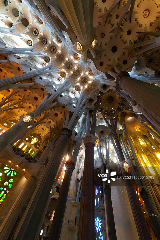 西班牙巴塞罗那大教堂阿拉菲天花板上有许多图片素材