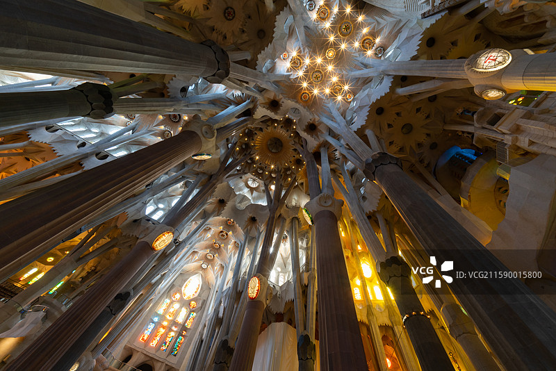 西班牙巴塞罗那大教堂阿拉夫德景观其天花板图片素材