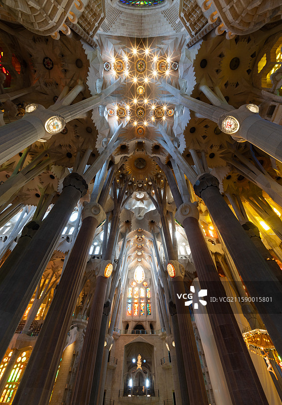 西班牙巴塞罗那大教堂阿拉夫天花板有很多柱图片素材