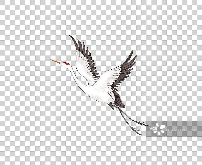 飞翔的仙鹤插画元素图片素材