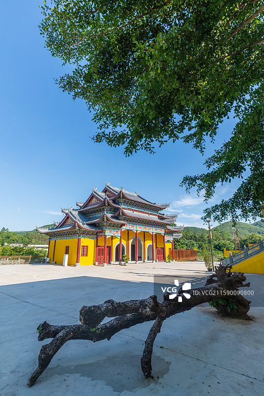 阳江竹林禅院山门殿与枯木（原市红十月农场，原名翠竹林庵），中国广东省阳江市江城区双捷镇图片素材