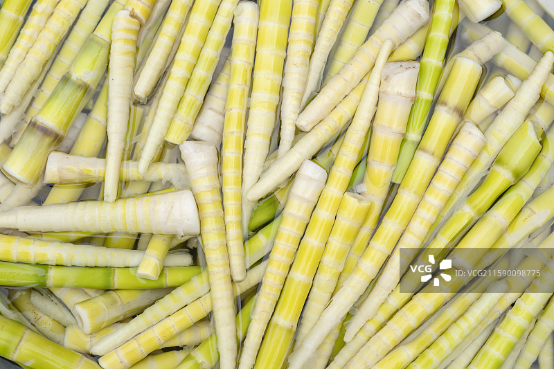 鲜嫩竹笋新鲜笋子图片素材