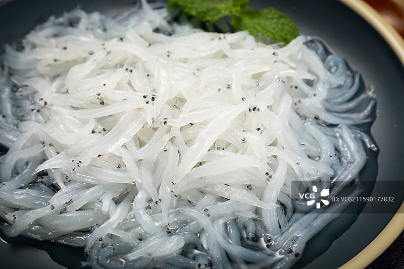 太湖银鱼图片素材