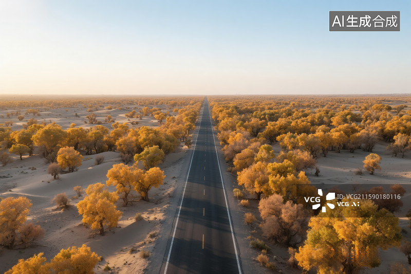 【AI数字艺术】高速路旁的沙漠中，成片的胡杨树图片素材