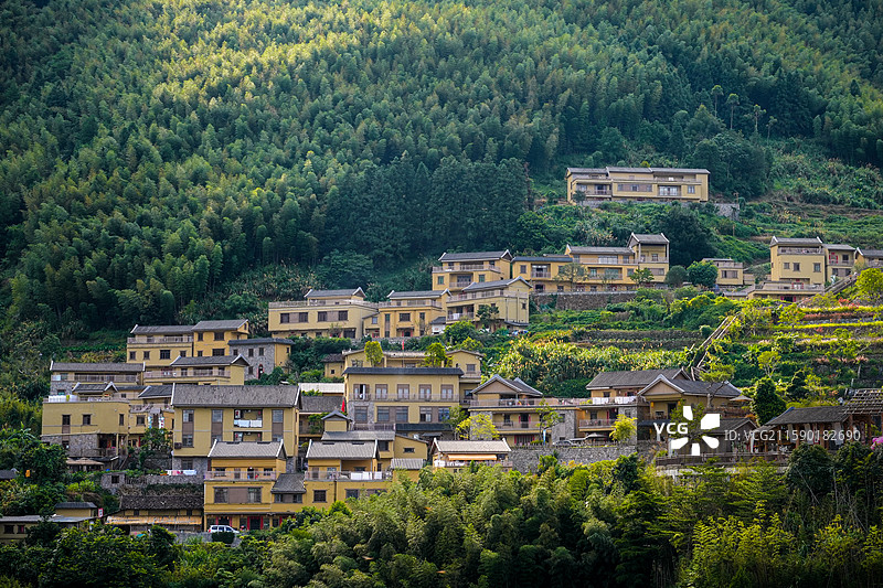 马安竹海图片素材