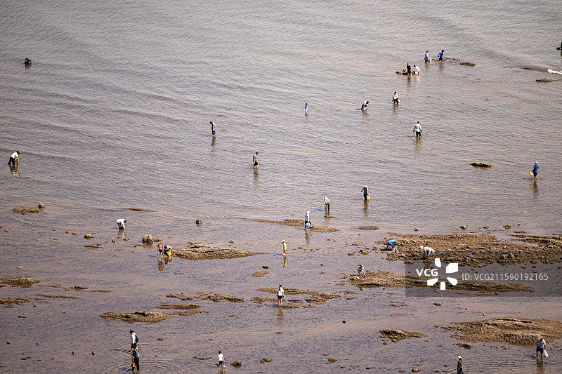 兴城海滨赶海的人图片素材