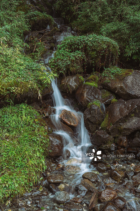 雅安喇叭河景区图片素材