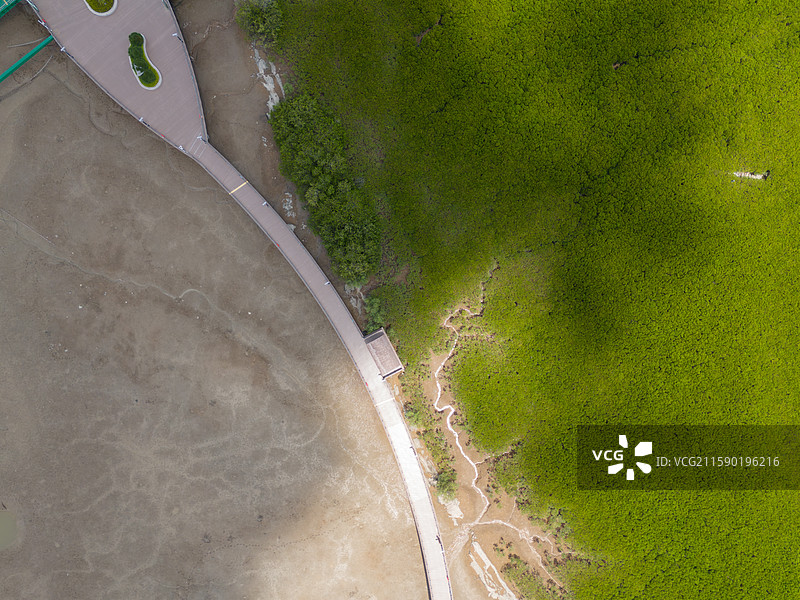 福建省厦门市下潭尾湿地公园航拍图片素材