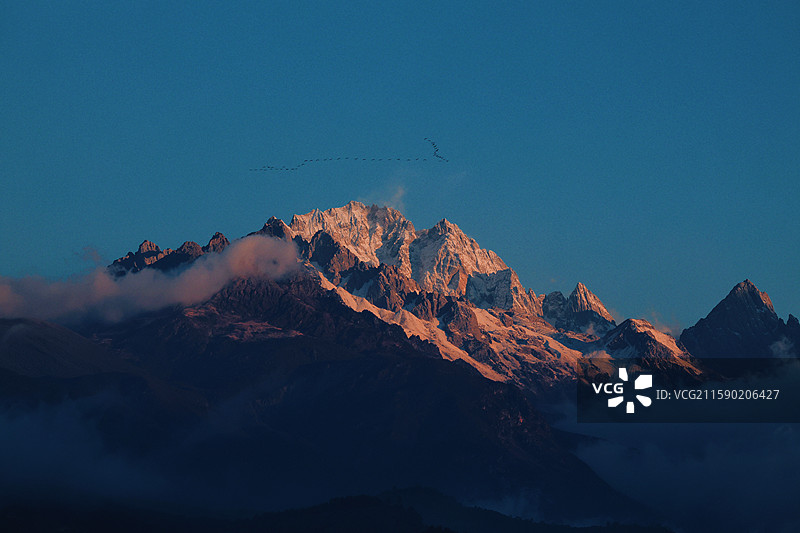 玉龙雪山的大雁图片素材