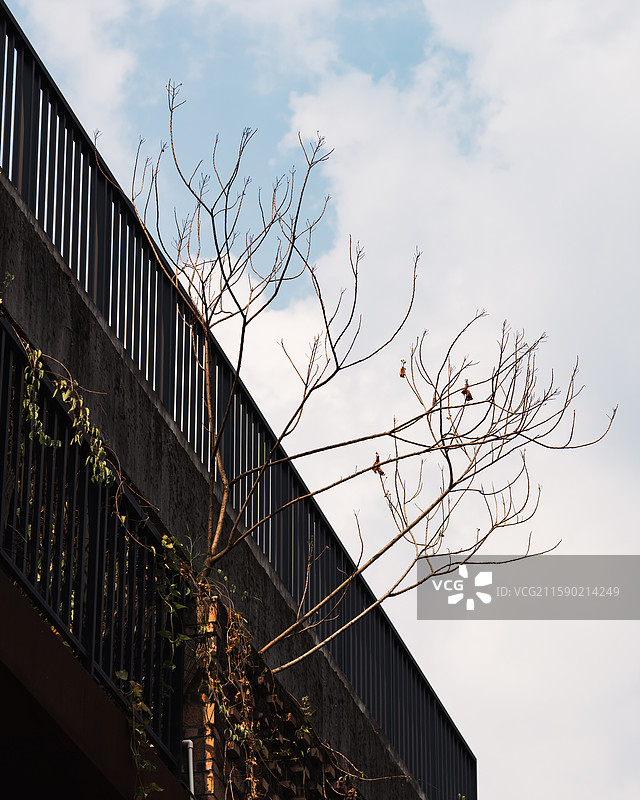 广州番禺紫泥堂图片素材