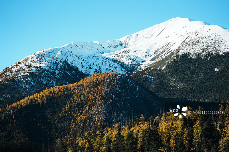 芒康县G214雪山森林图片素材