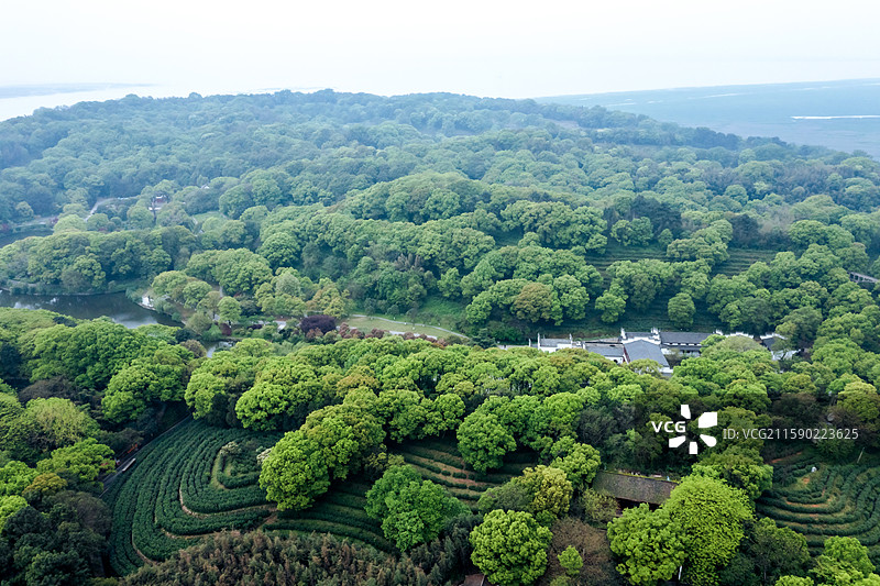 春天的湖南岳阳君山岛风光图片素材