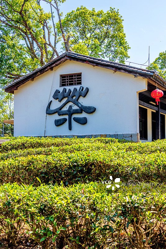 中国云南普洱中华普洱茶博览苑的茶园风光图片素材