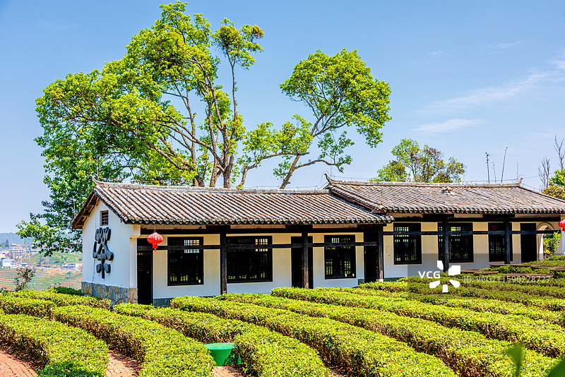 中国云南普洱中华普洱茶博览苑的茶园风光图片素材