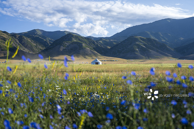 赛里木湖草原蒙古包风光图片素材