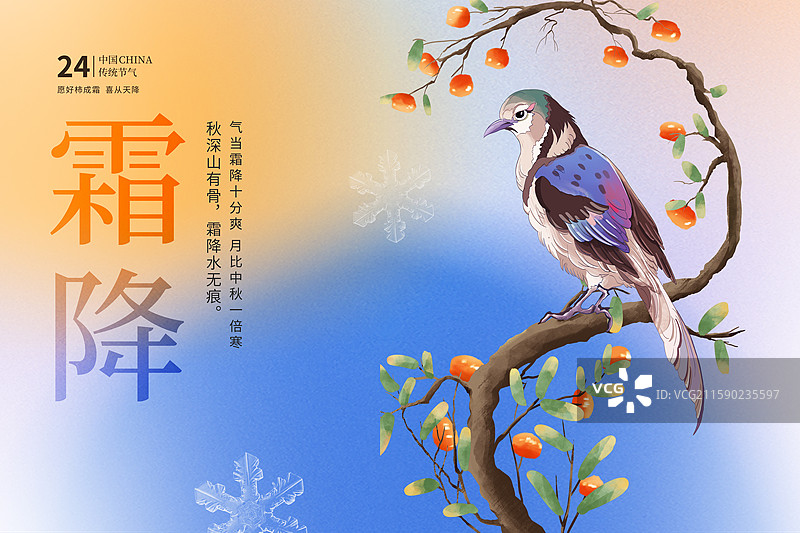 中国风节气封面设计海报模版-秋天-霜降 丰收的季节 树上的甜柿子 停留在柿子树上的鸟 渐变背景 横版图片素材
