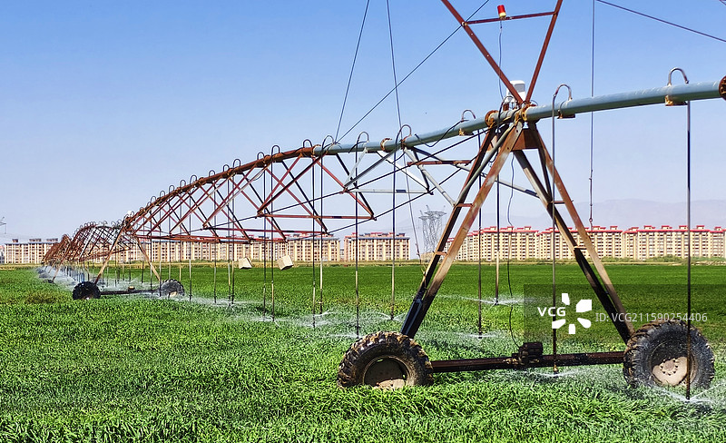 2025年9月8日，在甘肃省张掖市民乐县华瑞农业万亩饲草种植基地，自动指针式喷灌机正在浇水。图片素材