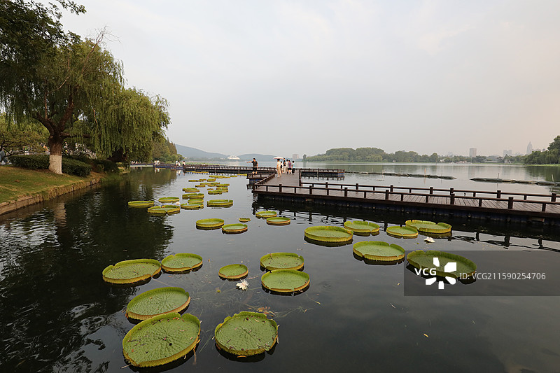 南京玄武湖公园风光图片素材
