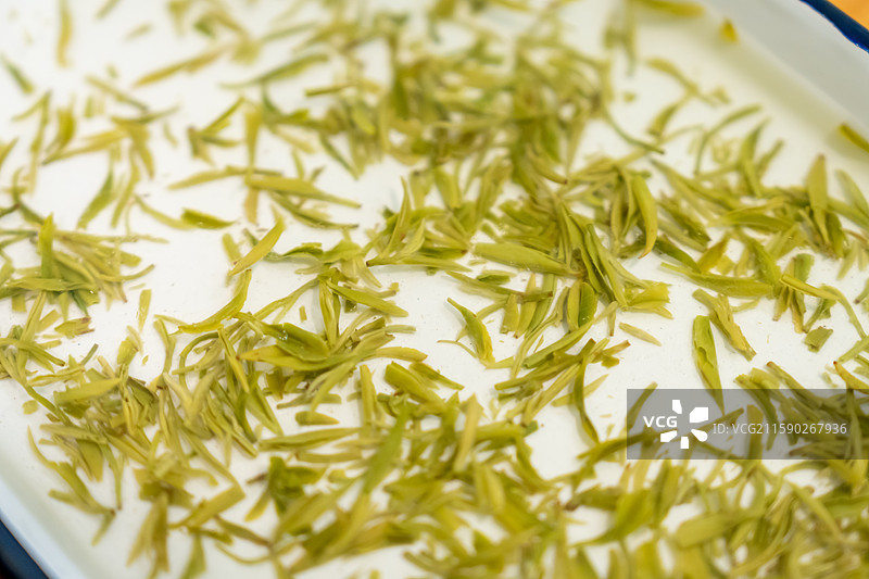 茶叶审评图片素材