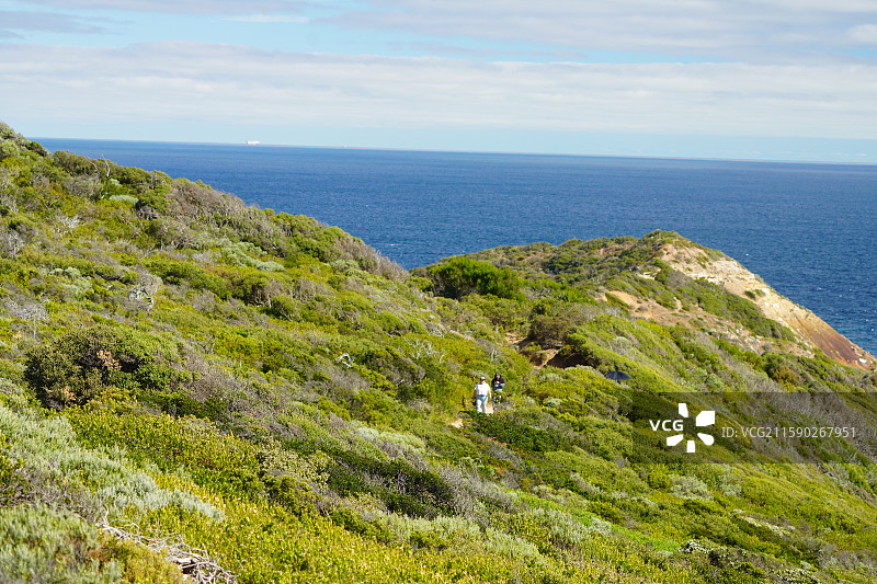 莫宁顿国家公园海滨海岸线灯塔mornington图片素材