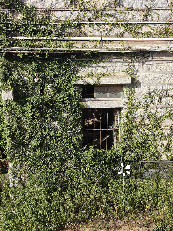 泉州惠安崇武古城风景区图片素材