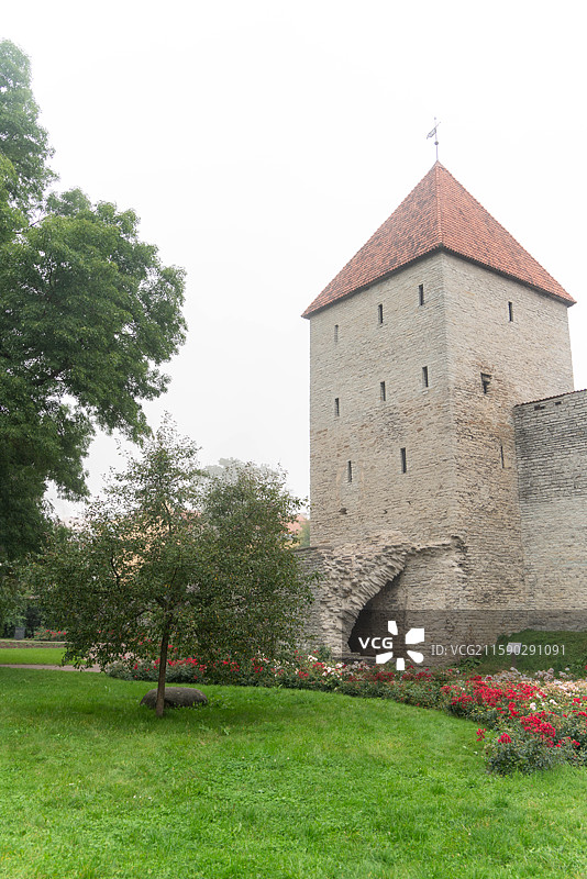 爱沙尼亚塔林老城 中世纪 大雾 阴天 古城 欧洲图片素材