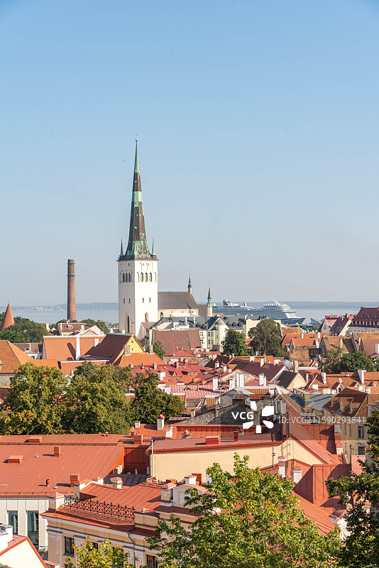 爱沙尼亚塔林老城观景平台 全景 塔尖 建筑 中世纪图片素材