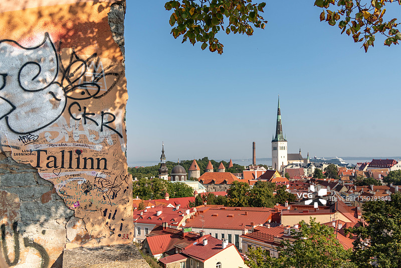 爱沙尼亚塔林老城观景平台 全景 塔尖 建筑 中世纪图片素材
