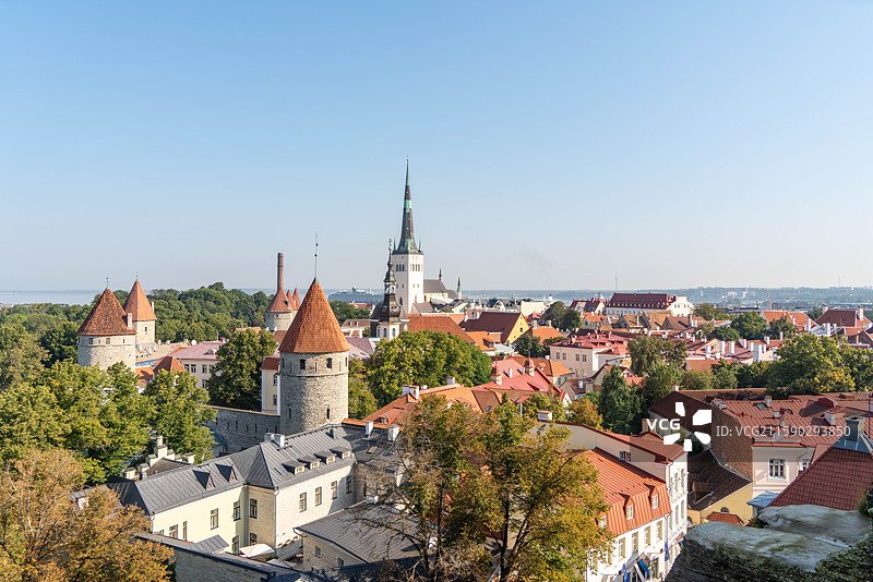 爱沙尼亚塔林老城观景平台 全景 塔尖 建筑 中世纪图片素材