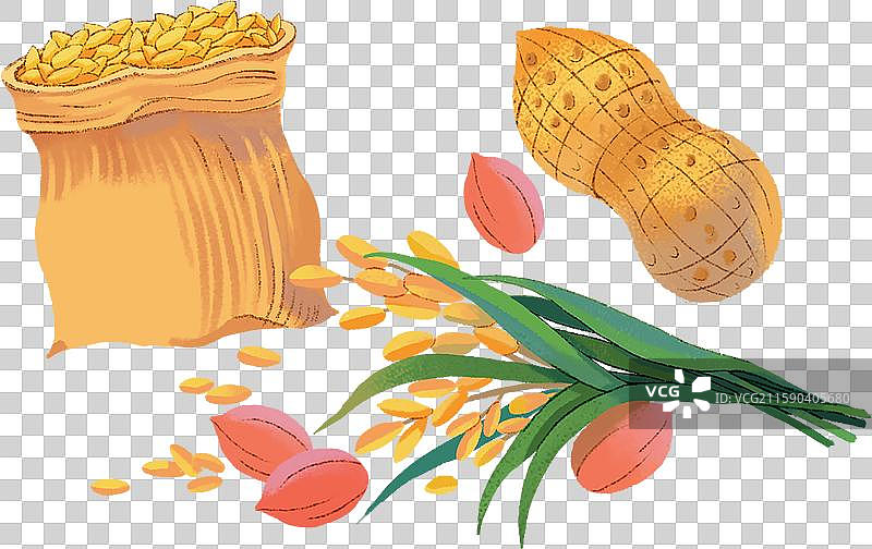 花生水稻粮袋图片素材