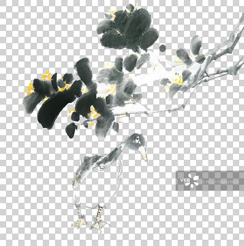 高雅 禅意 手绘 国画 水墨 秋天 桂花 大雁图片素材