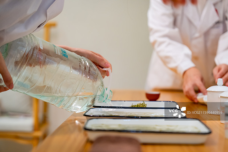 茶叶审评图片素材