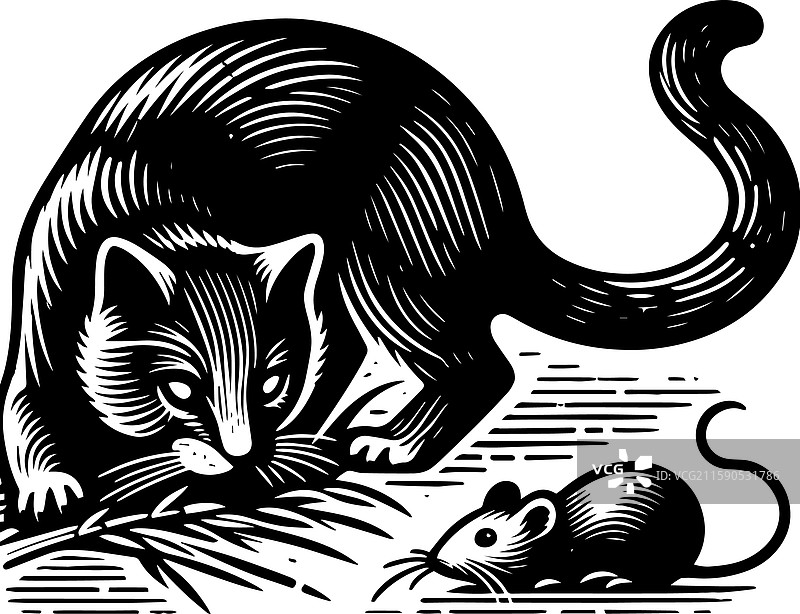 简单的农舍猫捕鼠图标复古标志图片素材