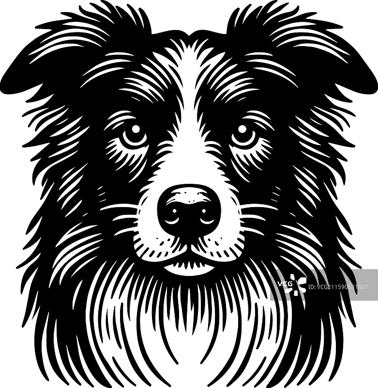 简单的澳大利亚牧羊犬面部头像图标图片素材