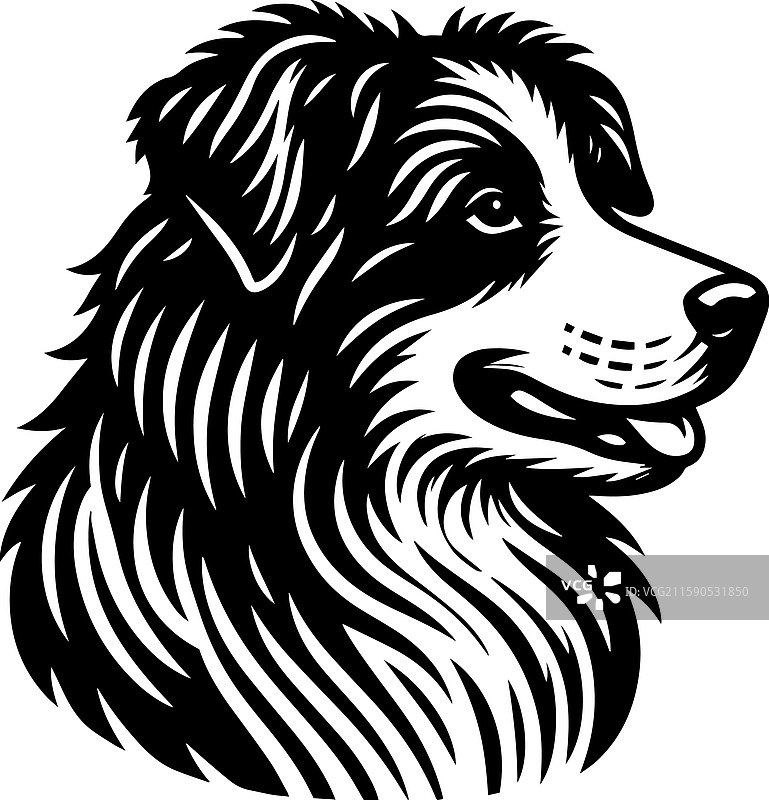 简单的澳大利亚牧羊犬面部头像图标图片素材