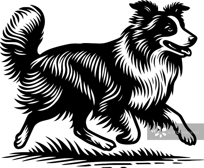 复古风格的简单澳大利亚牧羊犬奔跑图标图片素材