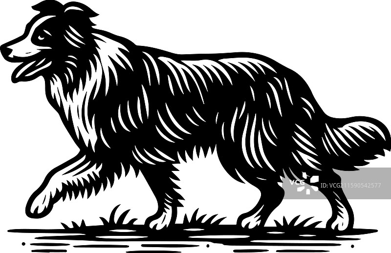 复古风格的简单澳大利亚牧羊犬行走图标图片素材