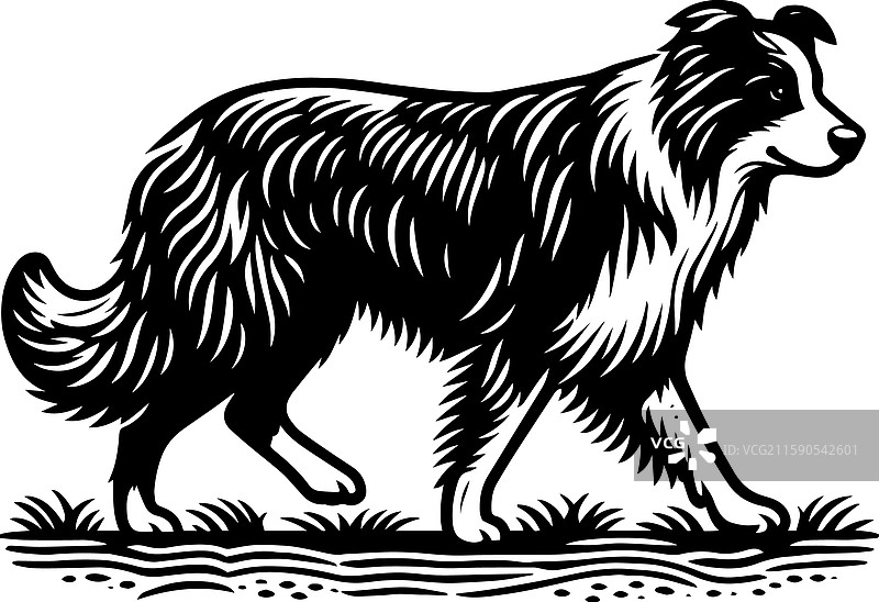 复古风格的简单澳大利亚牧羊犬行走图标图片素材