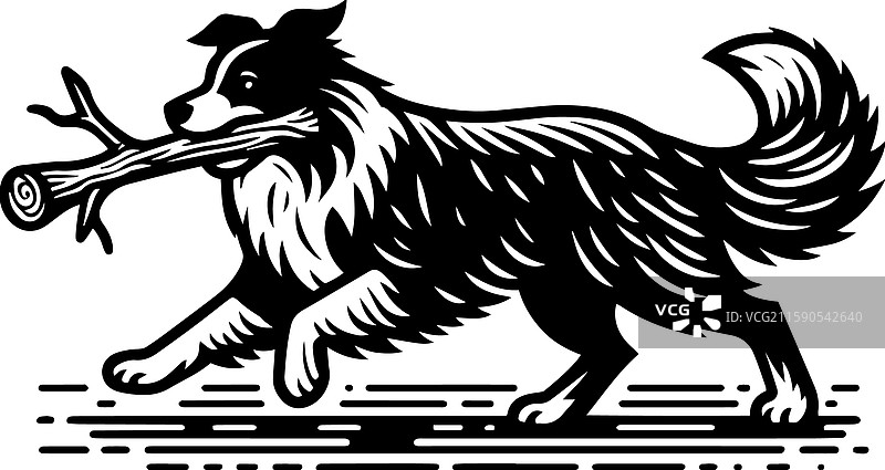 简单的澳大利亚牧羊犬叼着一根棍子的图标图片素材