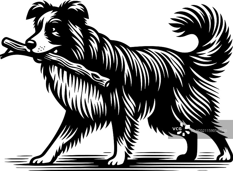 简单的澳大利亚牧羊犬叼着一根棍子的图标图片素材