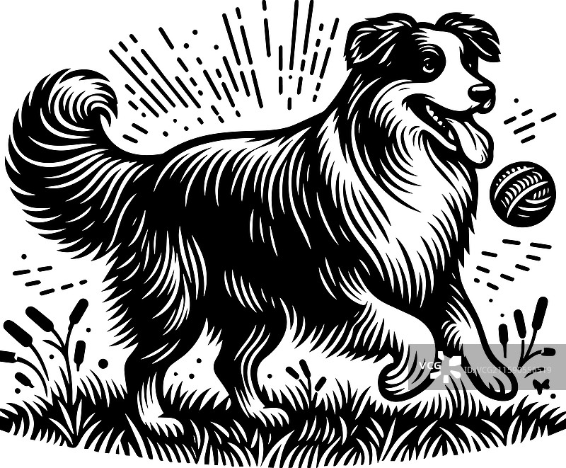 复古风格的边境牧羊犬玩球图标图片素材