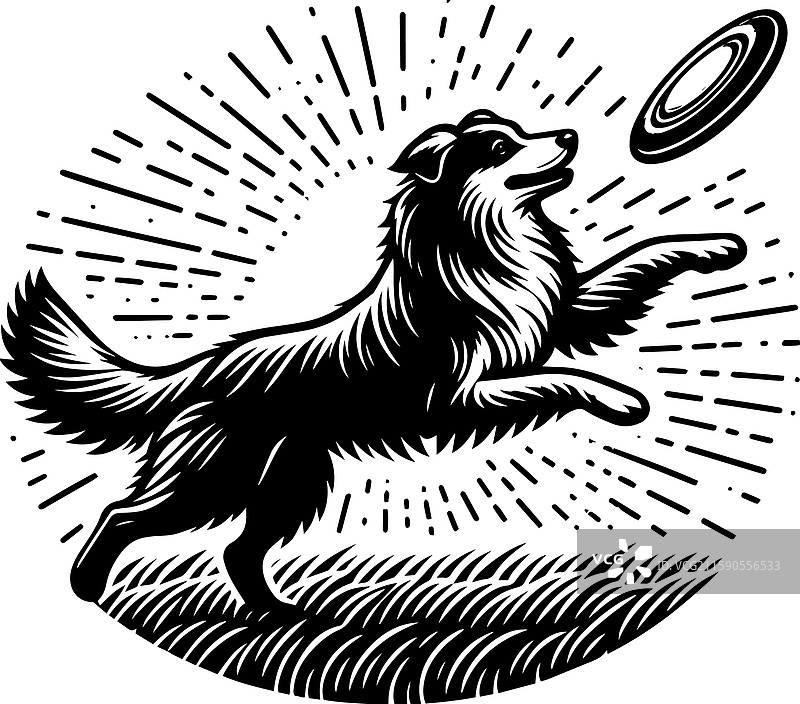 复古风格的边境牧羊犬玩飞盘图标图片素材