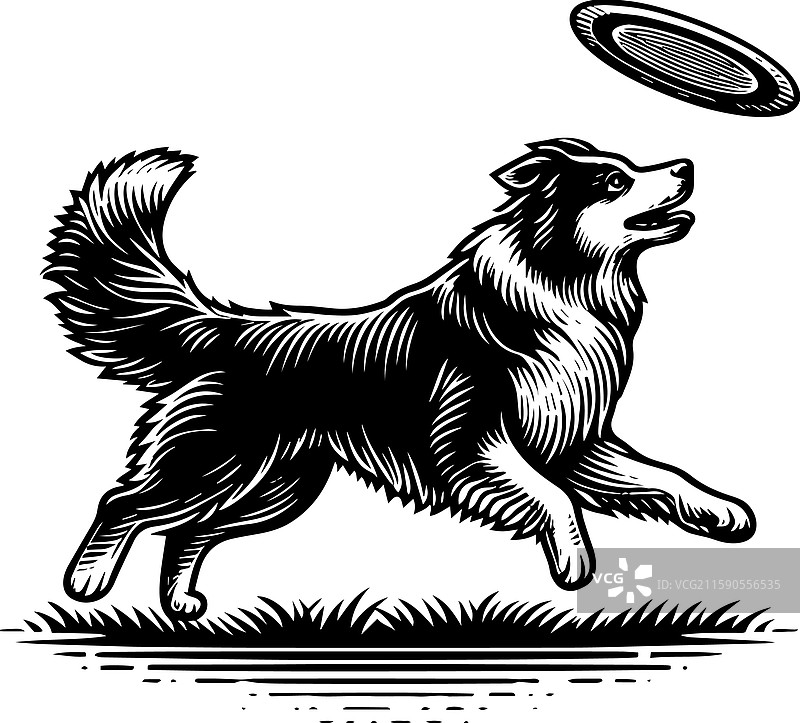 复古风格的边境牧羊犬玩飞盘图标图片素材