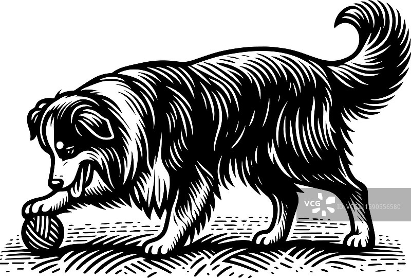 复古风格的边境牧羊犬玩球图标图片素材