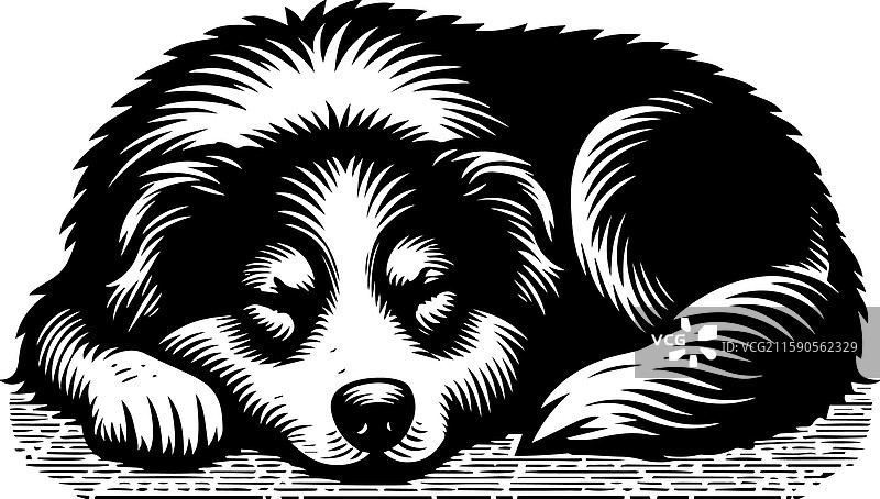 简单的边境牧羊犬睡觉图标复古标志图片素材