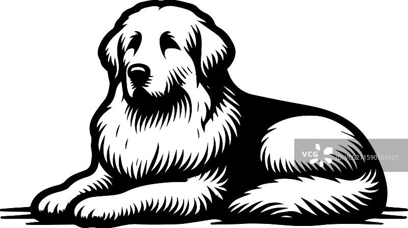 简单的伟大比利牛斯犬放松图标复古标志图片素材