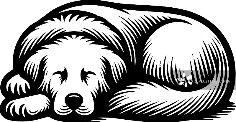 简单的伟大比利牛斯犬睡觉图标复古标志图片素材