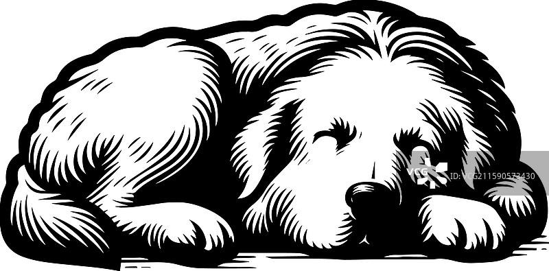 简单的伟大比利牛斯犬睡觉图标复古标志图片素材