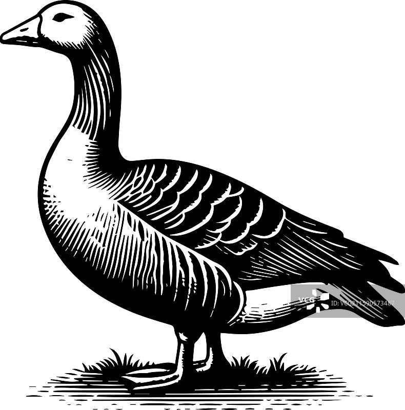 简单的美国水鸭站立图标，复古风格图片素材